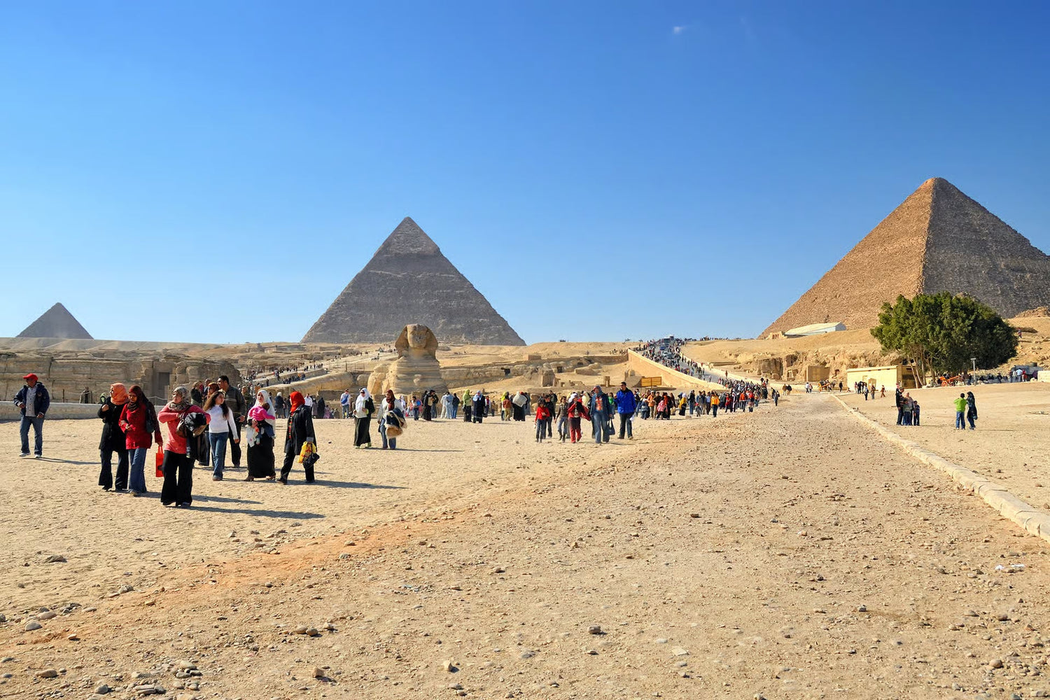 Pourquoi une excursion bien organisée change complètement l’expérience en Égypte